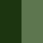 Alpine Forest and Sage Green
