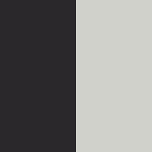 Wetbar & Pewterbud